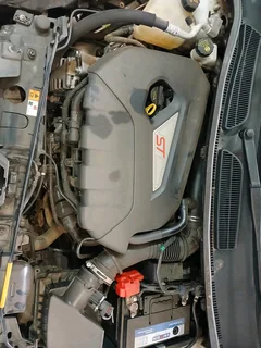 FORD FIESTA ST STRIPPING