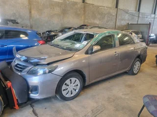 Toyota Corolla Quest Stripping