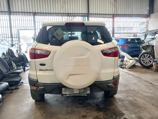 Ford Ecosport Stripping