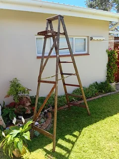 Wooden Step Ladder