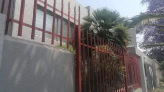 Wall palisade panels