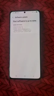 SAMSUNG GALAXY S21 ULTRA 5G DUAL SIM