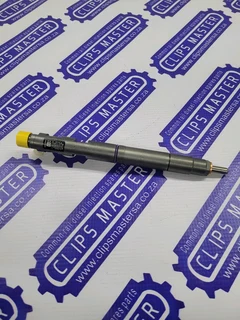 Fuel injector for GWM P-series 2.0D 4D20M