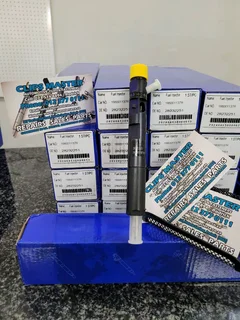 Renault 1.5dci Fuel Injectors - New