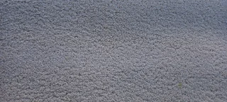 large heavy duty beige  carpet