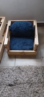 Litten Plush Pet care