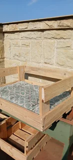 Litten Plush Pet care