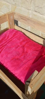 Litten Plush Pet care