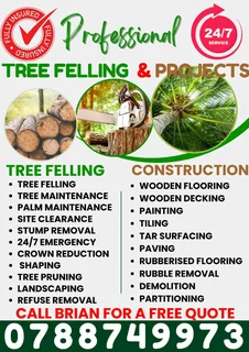 Professional Tree felling Services