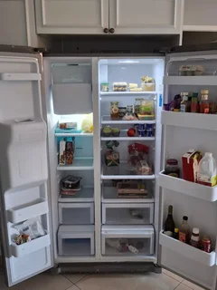 Samsung Fridge/ Freezer
