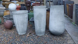 Plants at GREAT prices ::: Nursery