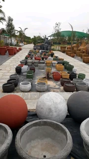 Plants at GREAT prices ::: Nursery