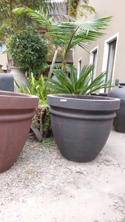 Garden Cement Pots at FACTORY prices