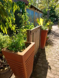 Compost R25 per 30dm3 bag ::: Nursery