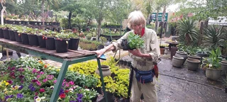 Compost R25 per 30dm3 bag ::: Nursery