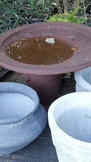 Compost R25 per 30dm3 bag ::: Nursery