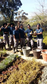 Kraalmanure R25 per 30dm3 bag::: Nursery