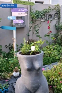 Kraalmanure R25 per 30dm3 bag::: Nursery