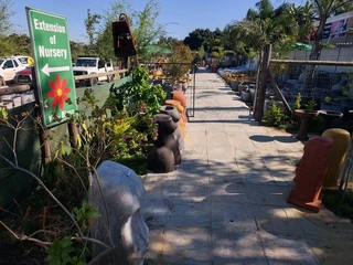 Nursery Selling Plants At Unbelievable Prices ::: Nursery