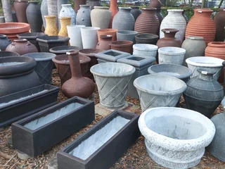 Nursery selling plants at UNBELIEVABLE prices ::: Nursery