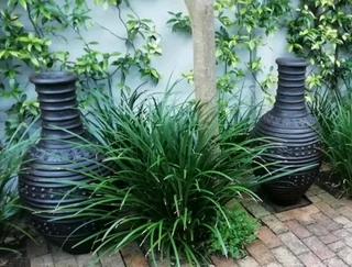 The Cement Pot Factory ::: Nursery