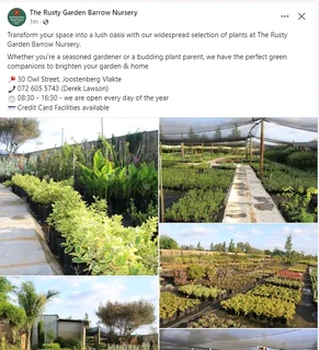 Compost R25 per 30dm3 bag ::: Nursery