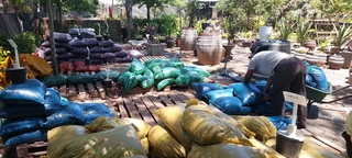 Compost R25 per 30dm3 bag ::: Nursery