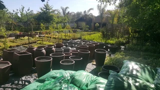Compost R25 per 30dm3 bag ::: Nursery