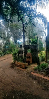 Compost R25 per 30dm3 bag ::: Nursery