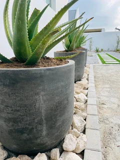 Compost R25 per 30dm3 bag ::: Nursery