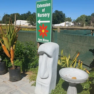 Garden pots ::: Nursery