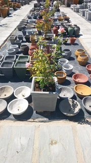 The Rusty Garden Barrow Nursery