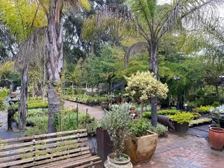 The Rusty Garden Barrow Nursery