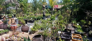 Calling all landscapers ::: Nursery