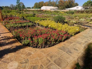 Calling all landscapers ::: Nursery