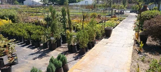 Calling all landscapers ::: Nursery
