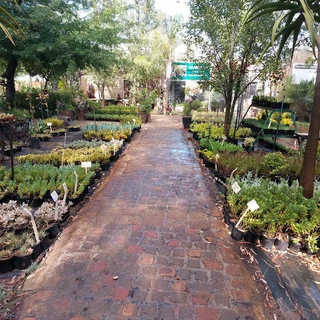 Compost R25 per 30dm3 bag  ::: Nursery