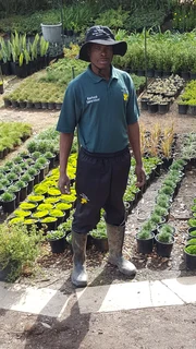 Compost R25 per 30dm3 bag ::: Nursery