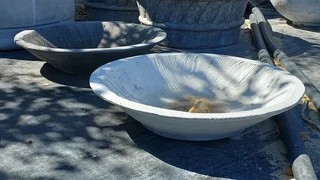 Birdbaths ::: Nursery