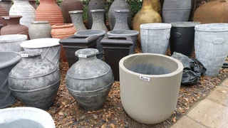 Plants and Garden pots at cheapest prices ::: Nursery