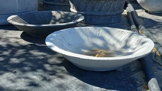 Birdbaths ::: Nursery