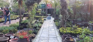 The Rusty Garden Barrow Nursery