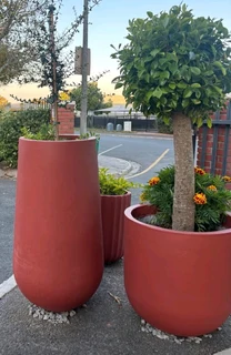 Potting soil R24 per 20dm3 bag ::: Nursery