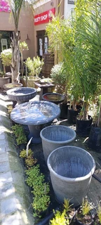 Garden cement pots ::: Nursery