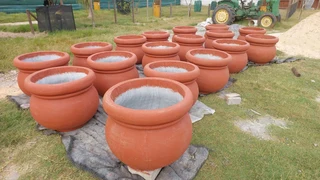 Garden cement pots ::: Nursery