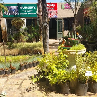 Plants At Great Prices ::: Nursery