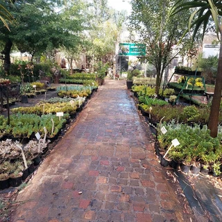 Kraalmanure R25 in 30dm3 bag ::: Nursery