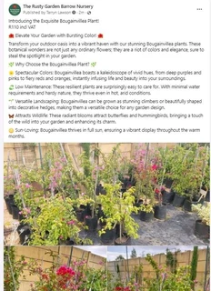 Compost R25 per 30dm3 bag::: Nursery