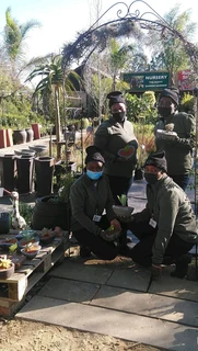 Compost R25 per 30dm3 bag::: Nursery