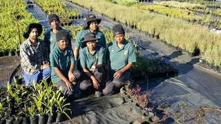 The Rusty Garden Barrow Nursery